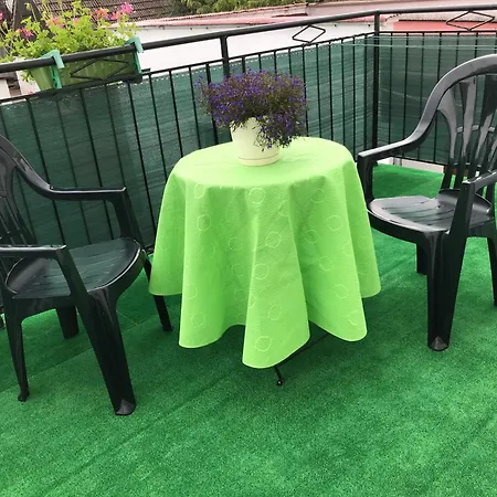 Проживание в семье Musical *